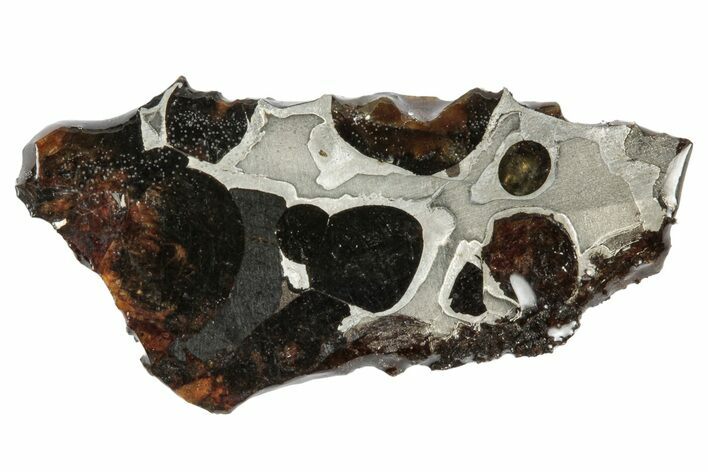 Sericho Pallasite Meteorite ( g) Slice - Kenya #346435